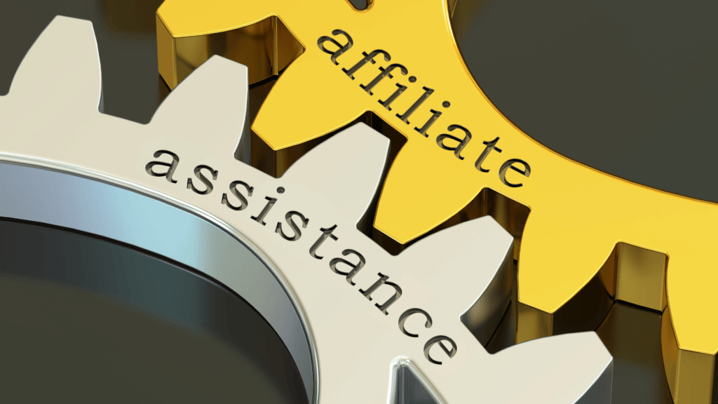 Is Affiliate Marketing Supported In New Zealand