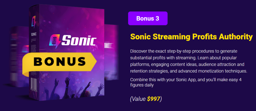 Sonic bonus number 3